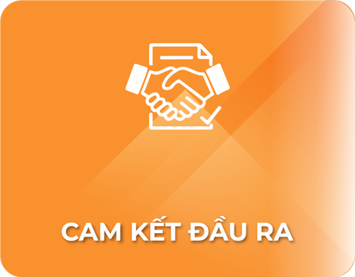 Cam kết đầu ra